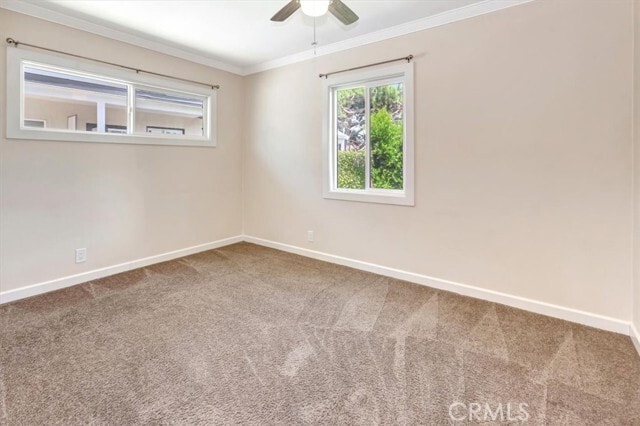 Photo - 1298 Watson Ave