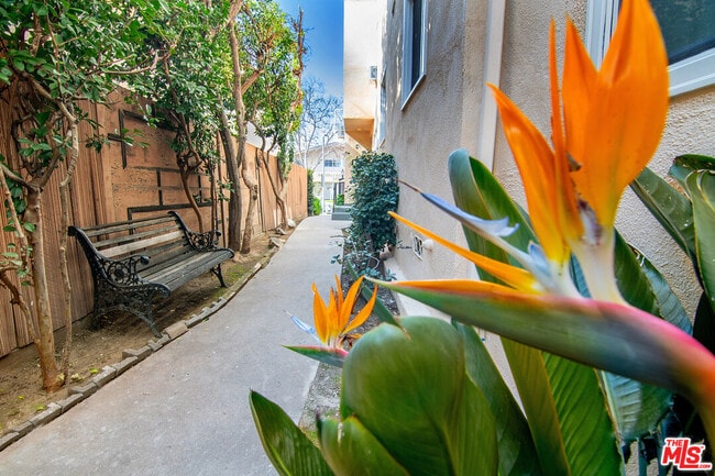 Photo - 344 Rexford Dr Unit 4