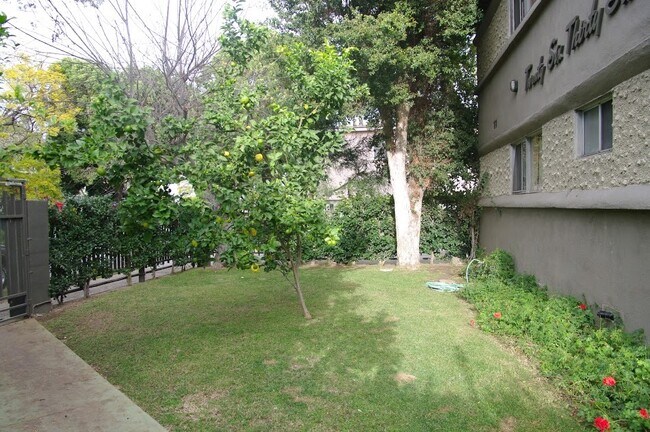 Lawn & Garden Behind Front Gate - 2636 Kansas Ave