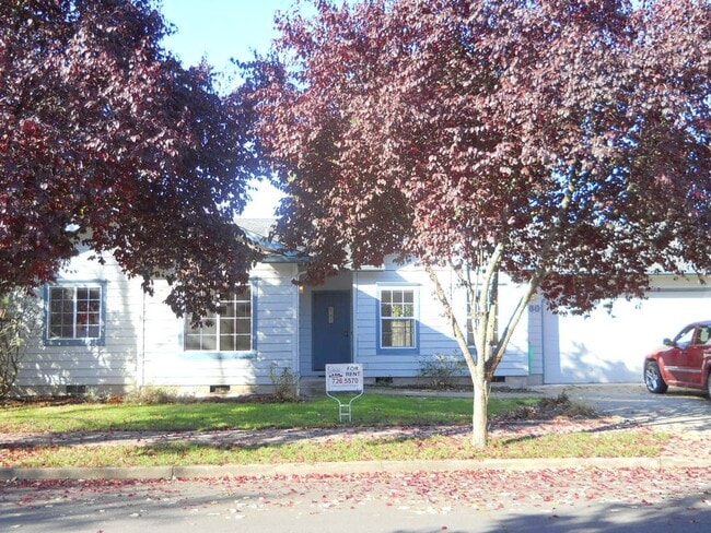New paint & fencing - New paint & fencing House