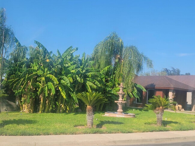 Photo - 702 Zebra Dr