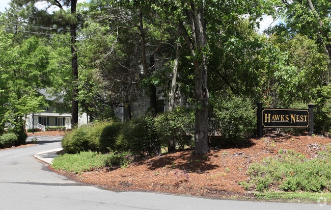 Hawk's Nest - Hawk's Nest