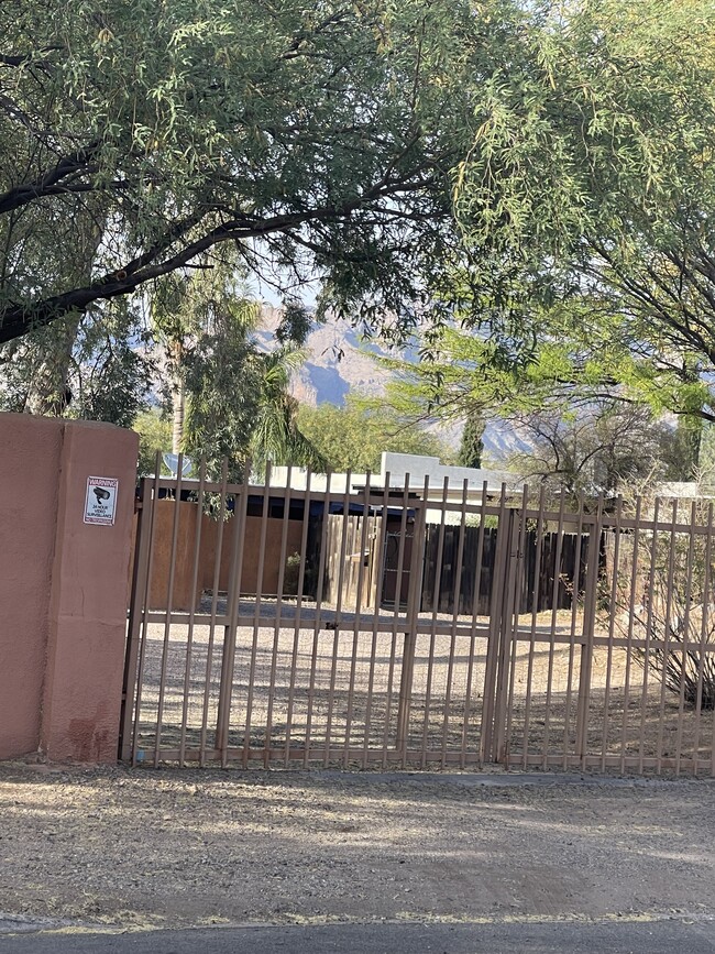 Building Photo - 313 E Calle Arizona