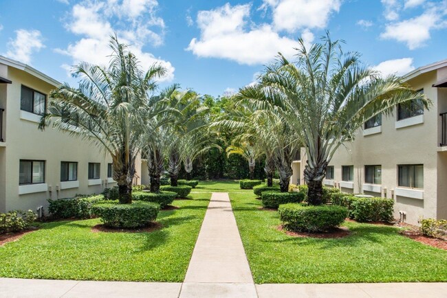 Legacy Vista Palms - Legacy Vista Palms Apartments