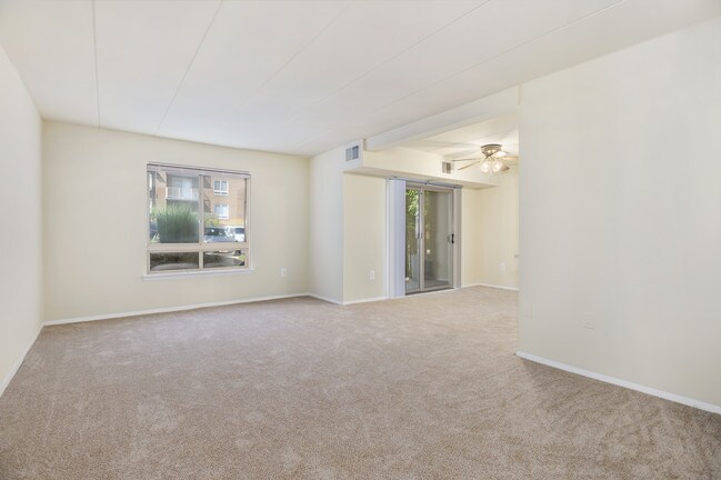 Photo - Windham Creek