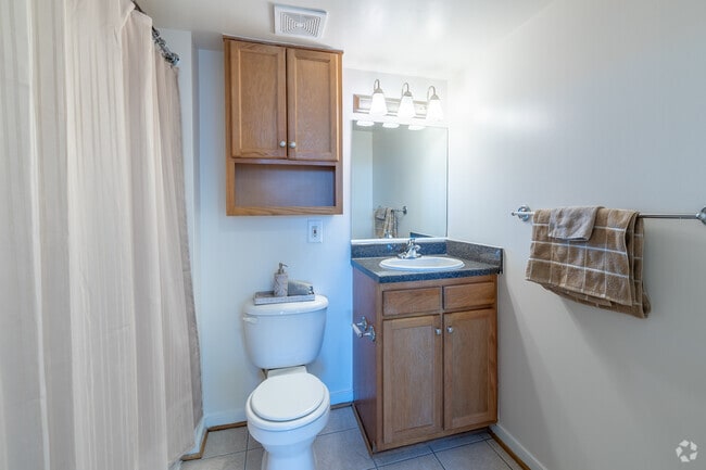 1BR, 1BA - 530SF - Bathroom