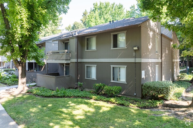 Alternar - Shasta Terrace