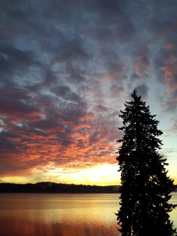 8194 Silverdale Way NW Condo Unit JTNP Condo for Rent in Silverdale