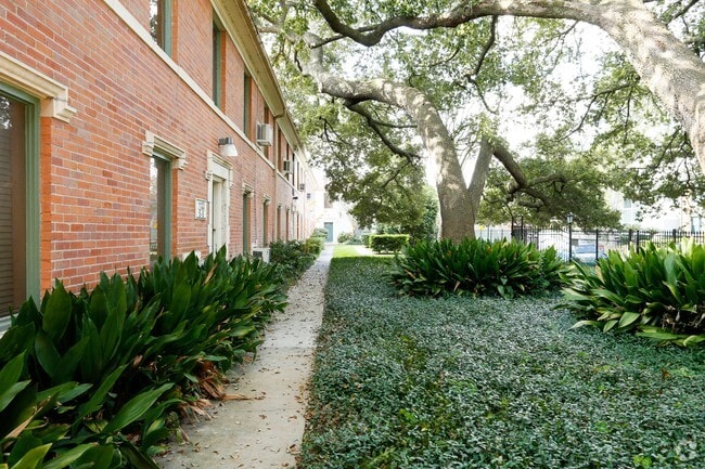 The Museum Gardens