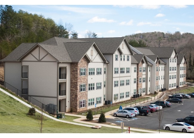 Bellamy Dahlonega