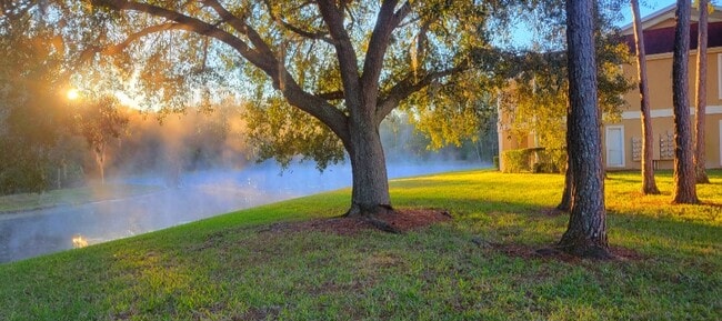 Photo - 9481 Highland Oak Dr Unit 511