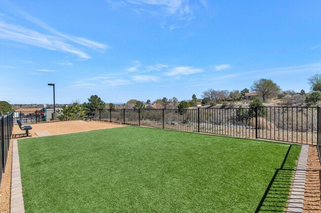 Dog Park