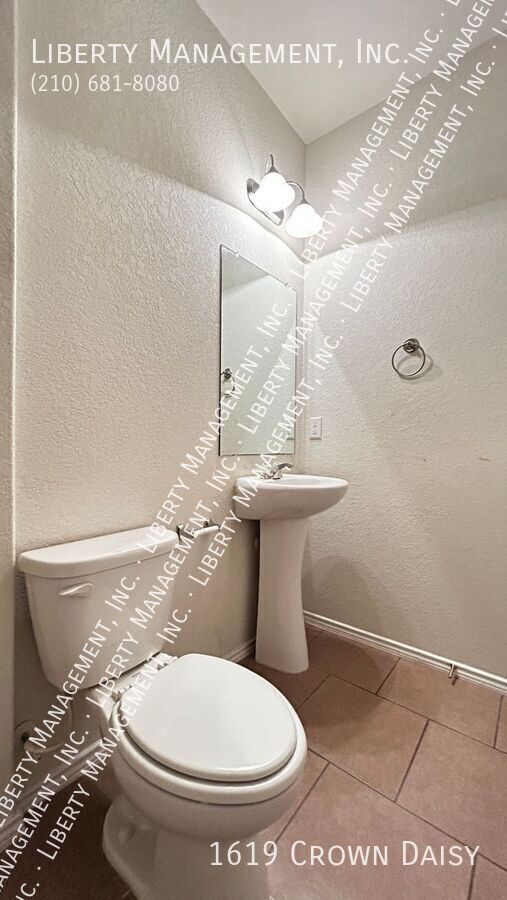 Photo - 1619 Crown Daisy