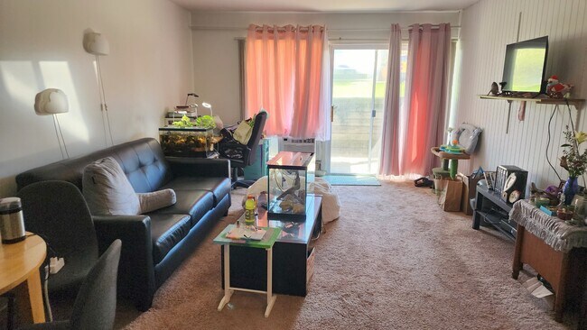 1BD Living room