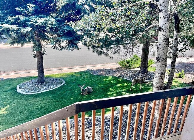 Photo - West side home in Mountain Shadows D11 Schools