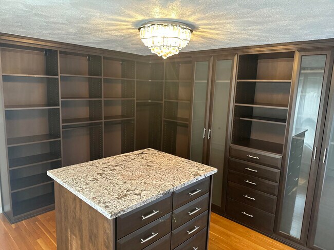 Walk in Closet - 241 Lexington St