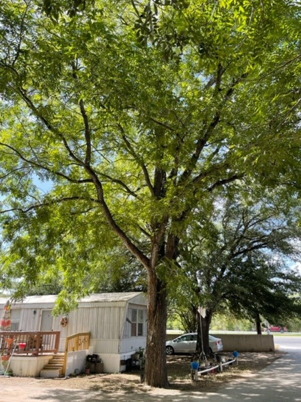 Photo - 3230 S Loop 1604 E Unidad C08