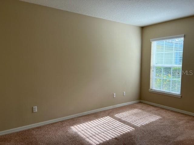 Photo - 12120 Tripletail Ln