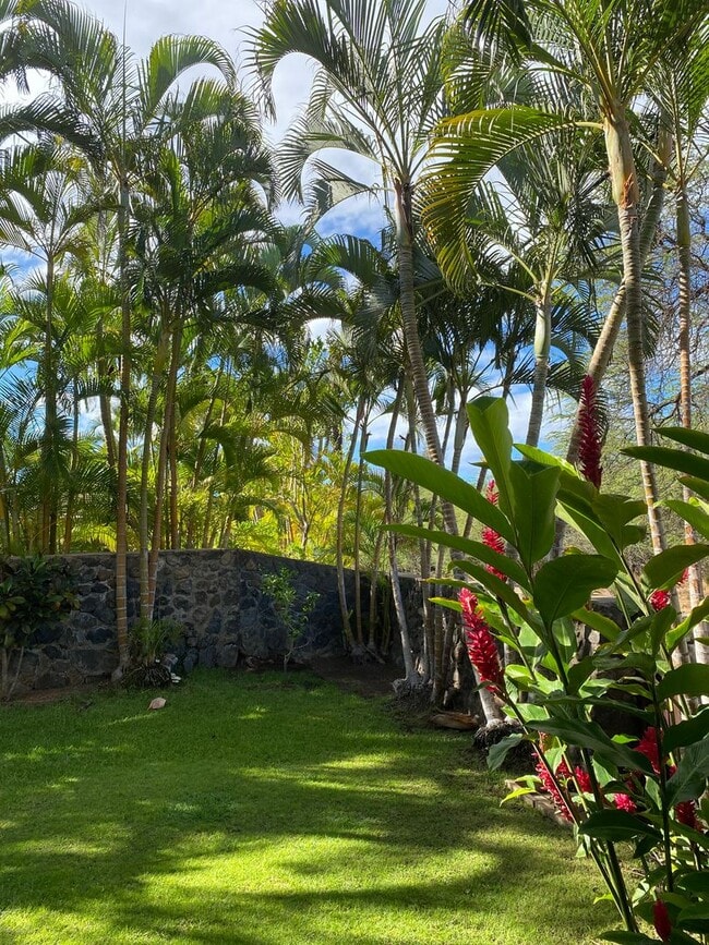 Photo - Tropical oasis