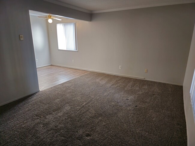 Bell Apartments