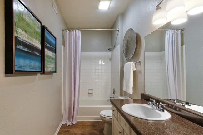 Photo - The Vineyards