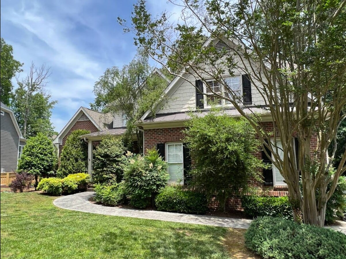 Photo - 273 Brown Bear