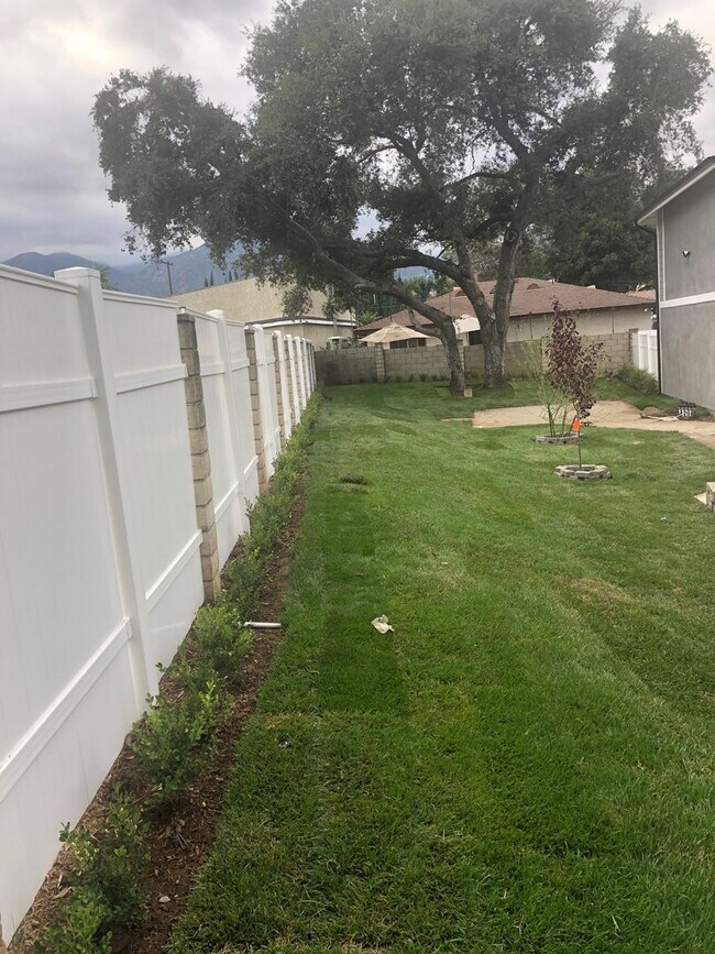 Photo - 1313 Los Robles Ave Unit 1313 Los Robles Ave C