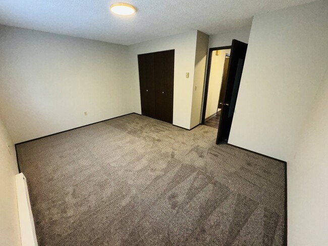Cozy and comfortable carpeted bedroom with large closet
