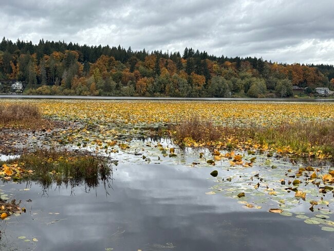 Building Photo - 8582 Long Lake Rd SE
