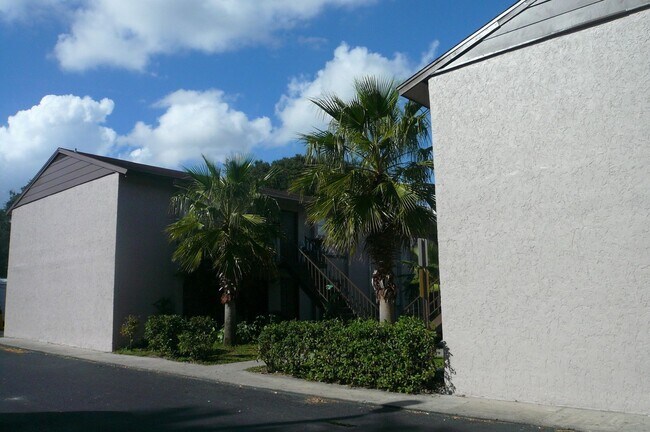 Photo - Baywatch Apartments- Five Minutes Driving from USF Unit 18-1323/102