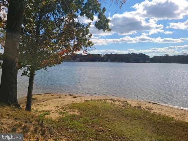 Photo - 11003 Bowerman Rd