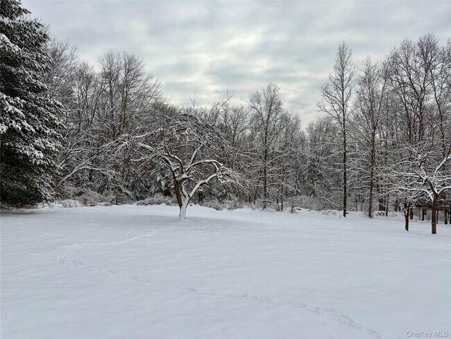 Photo - 156 Bloom Rd