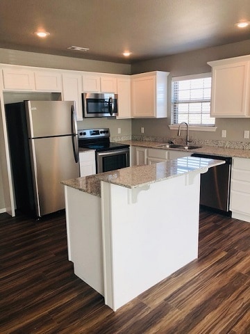 Photo - 2809 W Blackstone Crossing