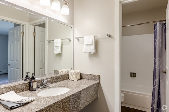 1BR, 1BA - Birch - Bathroom