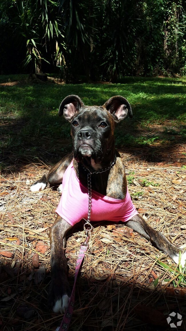 Fisherman's Landing Apartment Homes Temple Terrace, FL