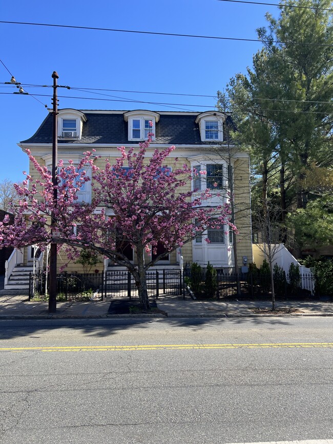 Building Photo - 173 Concord Ave Unit 173ConcordAve