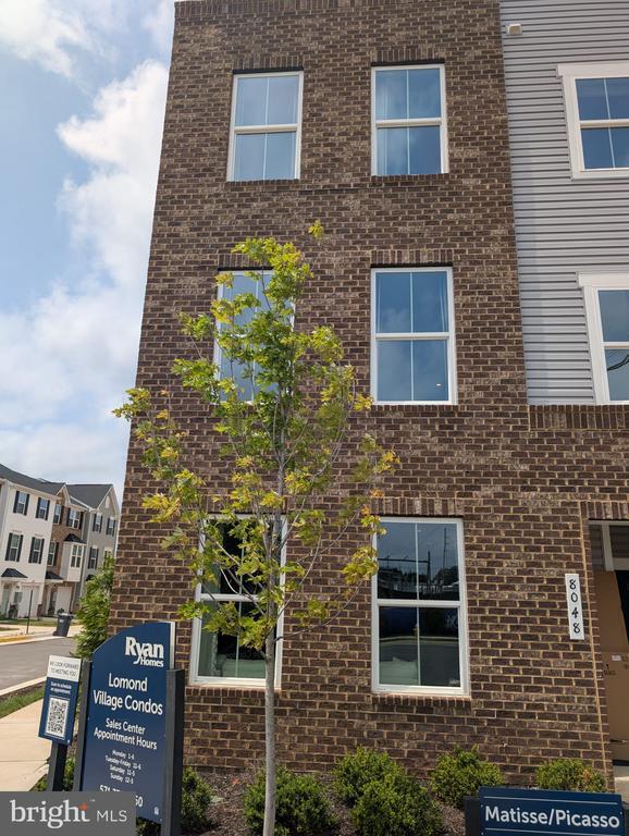 Photo - 8048 Williamson Blvd