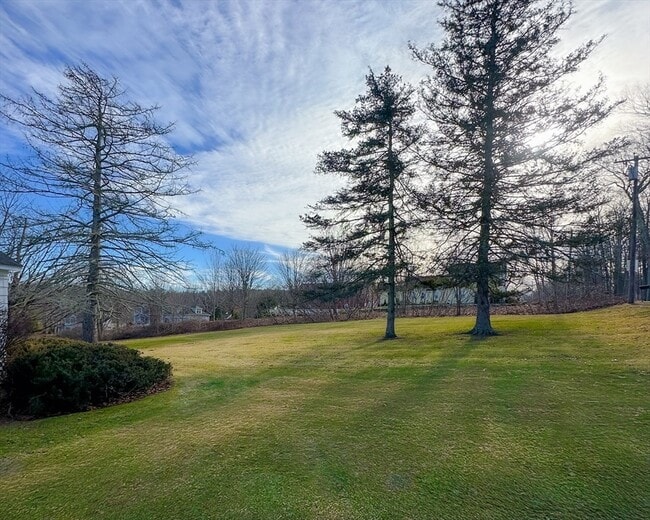 Photo - 39 Prospect St