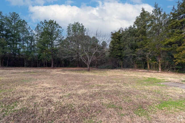 Future Dog Park - Anderson Apartments