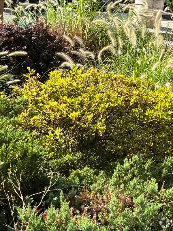 Houses for Rent near Jefferson Valley NY 56 Houses