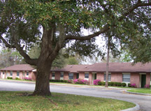 Forest Glen Apartments - Forest Glen Apartments