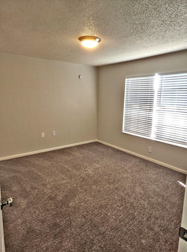 Drexel Court Apartments Land O Lakes, FL