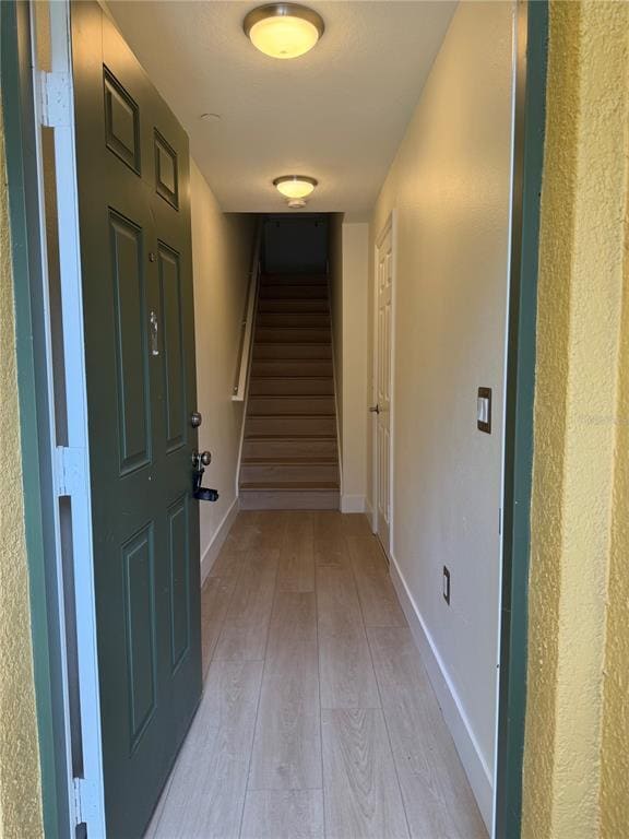 8909 White Sage Loop