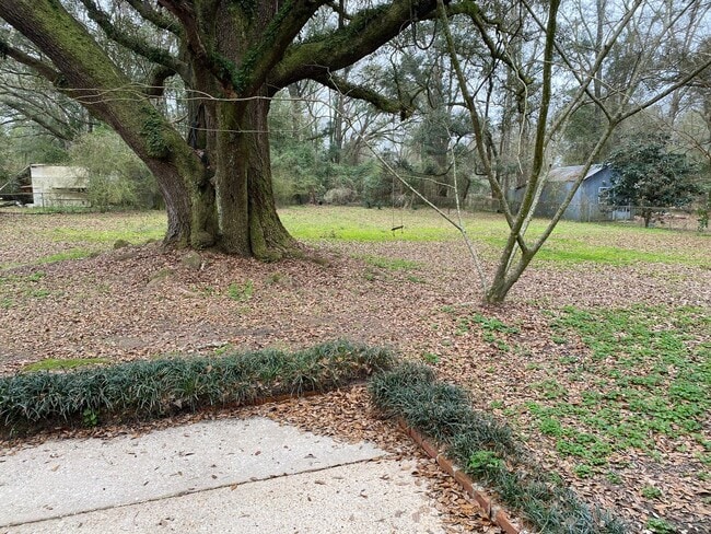 Photo - Charming 3 Bedroom Home with Large Yard in Theodore!