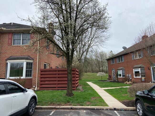 Courtyard - 3 Windsor Ct
