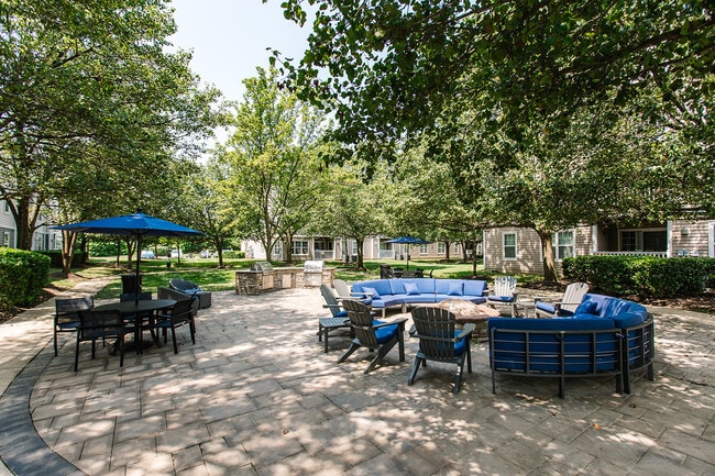The Groves at Piney Orchard