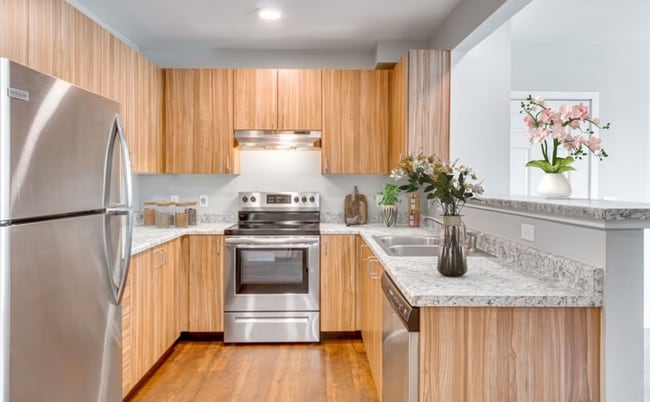 Kitchen3.png - North Star Apartments