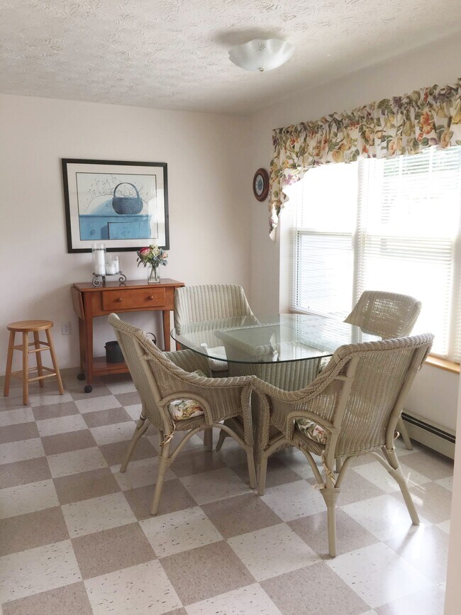 Photo - Osprey Landing