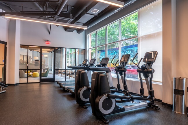Cardio Equipment