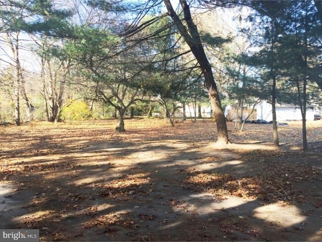 Photo - 213 Laurel Ave